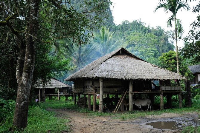 Chiang Mai Day Tour: Chiang Dao Cave and Hill Tribes - What the guides add to the day