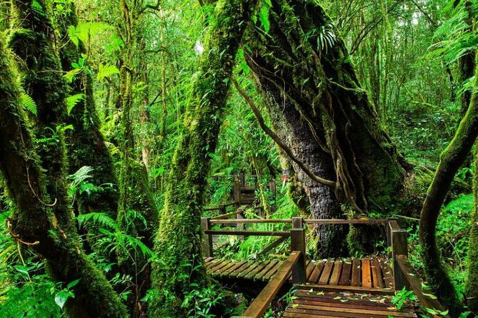 Chiang Mai - Doi Inthanon Full day Tour - Doi Inthanon’s highest point