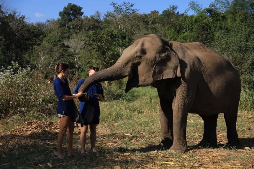 Chiang Mai: Doi Inthanon Hiking & Elephant Sanctuary Program - Key points to know before booking