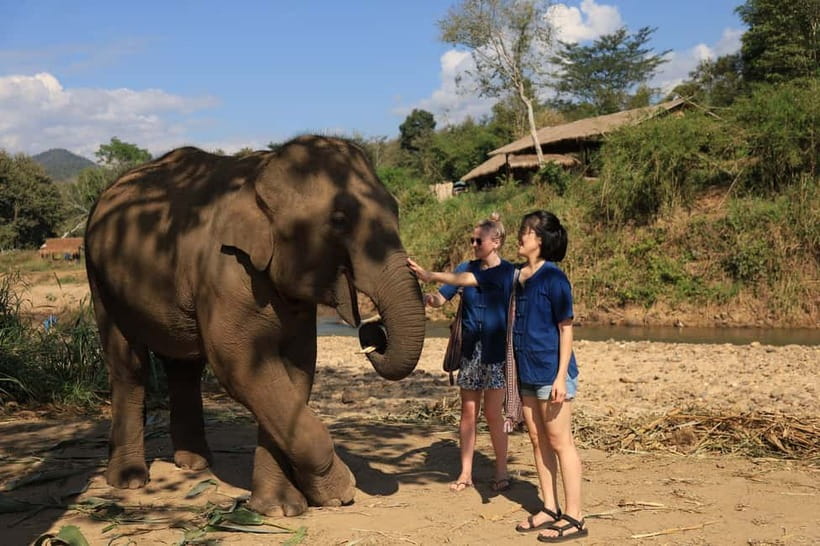Chiang Mai: Doi Inthanon Hiking & Elephant Sanctuary Program - Is $56 good value for a 12-hour day?