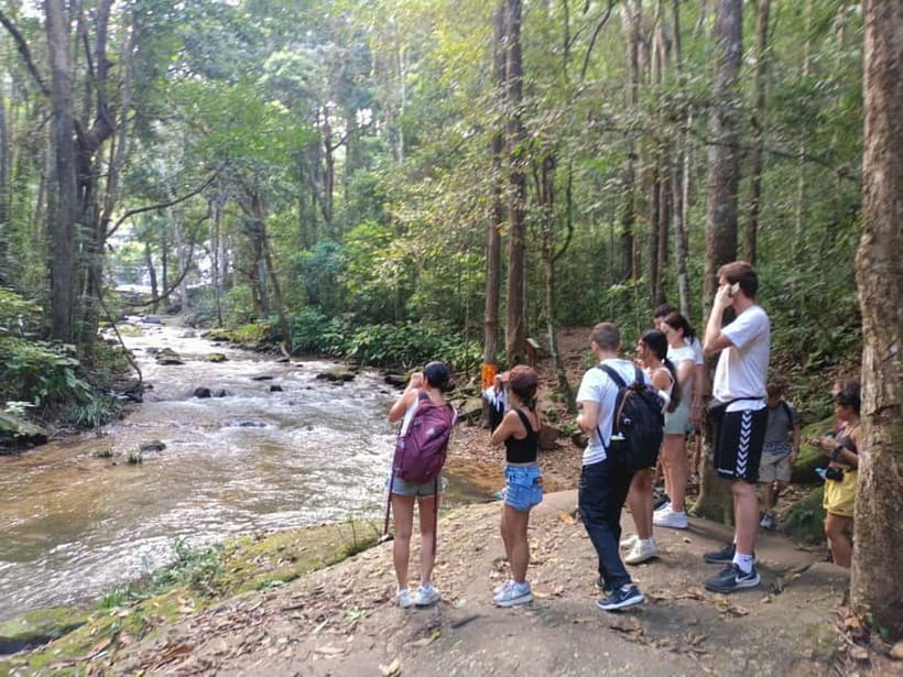 Chiang Mai: Doi Inthanon Hiking & Elephant Sanctuary Program - The Twin Pagodas and Botanical Gardens