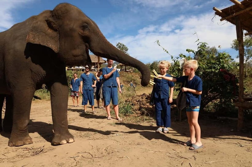 Chiang Mai: Doi Inthanon Hiking & Elephant Sanctuary Program - A 1.5-hour drive into rural Chiang Mai