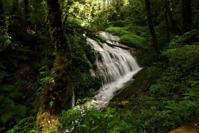 Chiang Mai: Doi Inthanon National Park and Kew Mae Pan Tour - Ban Mae Klang Luang and the coffee stop