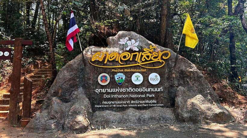 Chiang Mai: Doi Inthanon National Park and Pha Dok Siew Trek - Key points to know before you book
