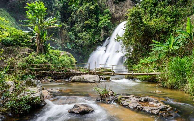 Chiang Mai: Doi Inthanon National Park and Pha Dok Siew Trek - Thailand’s highest park, markets, and small stops