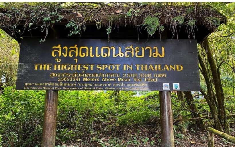Chiang Mai: Doi Inthanon National Park and Pha Dok Siew Trek - The King and Queen Pagodas above the clouds