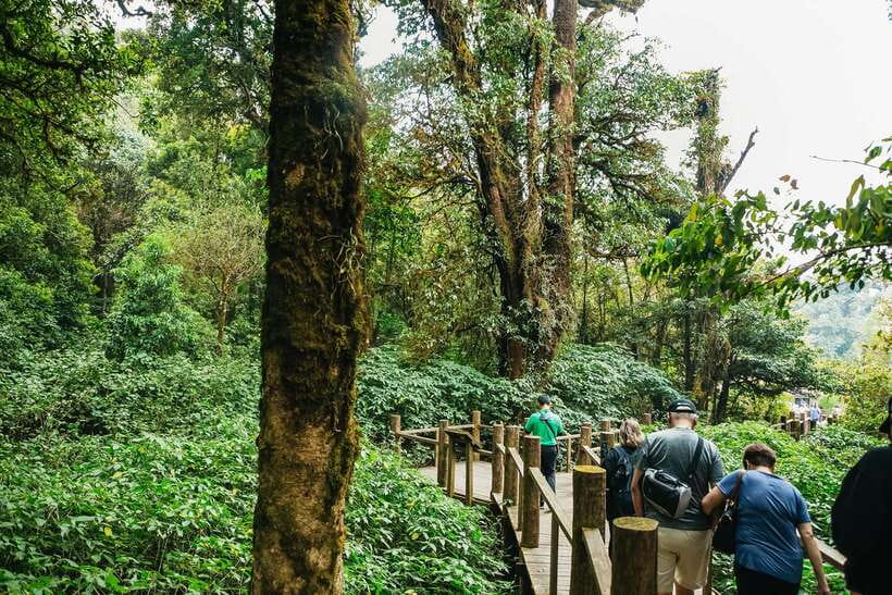 Chiang Mai: Doi Inthanon National Park Eco-Friendly Tour - Key points to know before booking