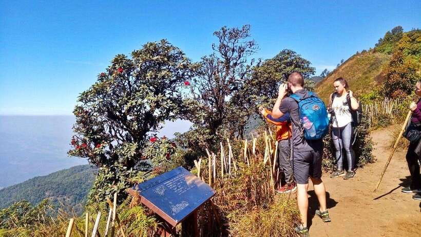 Chiang Mai:Doi Inthanon National Park & Hike at Kew Mae Pan - The King and Queen Pagodas