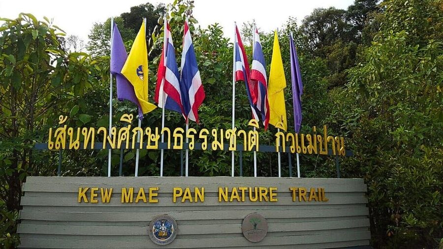 Chiang Mai:Doi Inthanon National Park & Hike at Kew Mae Pan - A Hmong market, lunch, and the tour’s commercial side