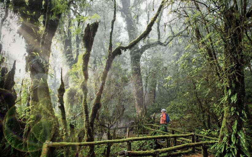 Chiang Mai: Doi Inthanon National Park Sightseeing Only - Why Doi Inthanon works as a Chiang Mai day trip