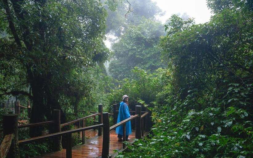 Chiang Mai: Doi Inthanon National Park Sightseeing Only - Wachirathan Waterfall, the day’s big finale