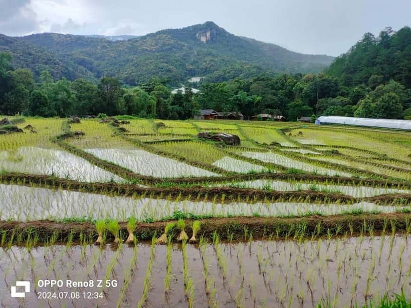 Chiang Mai: Doi Inthanon National Park+Trek Pha Dok Siew - Wachiratharn Waterfall and the Hmong Market