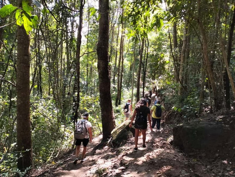 Chiang Mai: Doi Inthanon National Park+Trek Pha Dok Siew - Timing, pickup, and what to pack