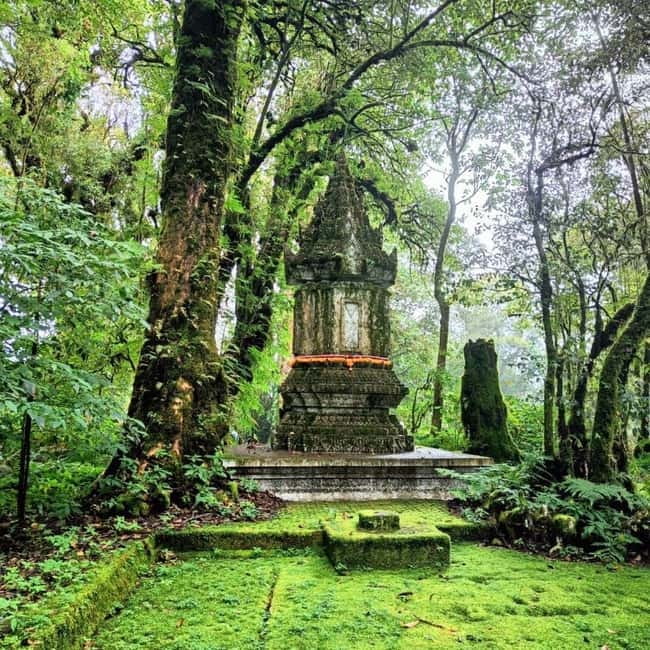 Chiang Mai: Doi Inthanon National Park+Trek Pha Dok Siew - Reaching Thailand’s highest point