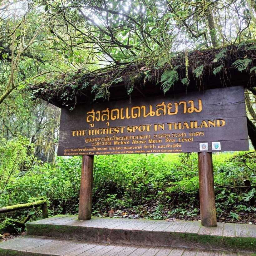 Chiang Mai: Doi Inthanon National Park & Waterfall Day Tour - The King and Queen’s pagodas