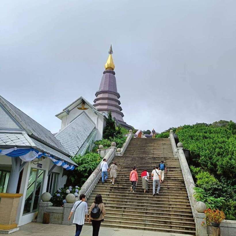 Chiang Mai: Doi Inthanon National Park & Waterfall Day Tour - Is $50 good value?