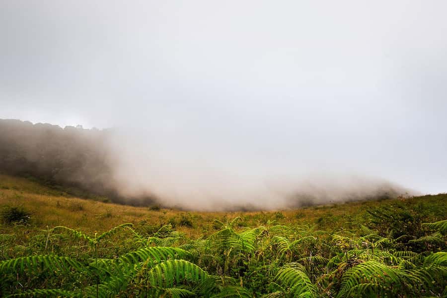 Chiang Mai: Doi Inthanon National Park, Waterfall & Lunch - Key points at a glance