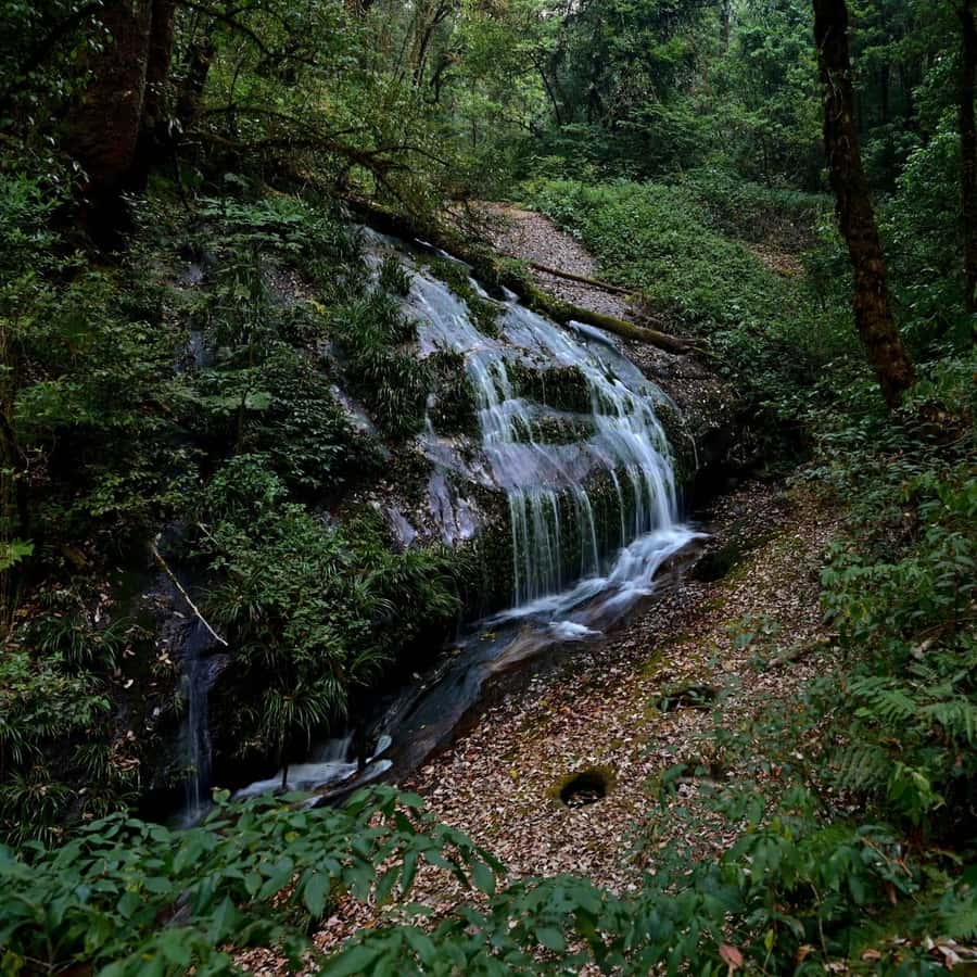 Chiang Mai: Doi Inthanon National Park, Waterfall & Lunch - The summit at 2,565 meters
