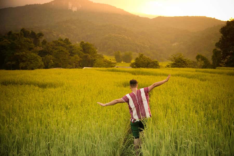 Chiang Mai: Doi Inthanon National Park, Waterfall & Lunch - A Karen village and lunch with a local setting