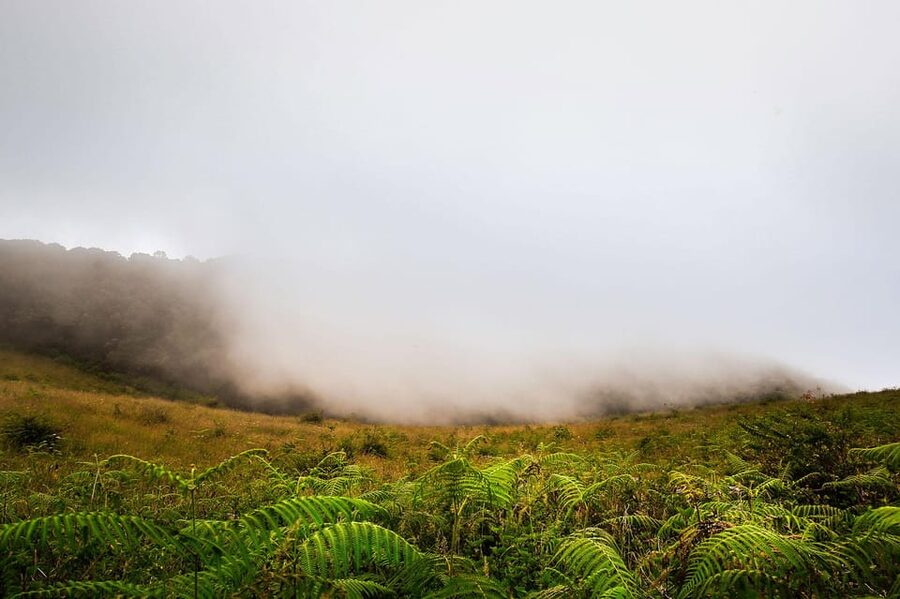 Chiang Mai: Doi Inthanon National Park, Waterfall & Lunch - What the guides add to the day