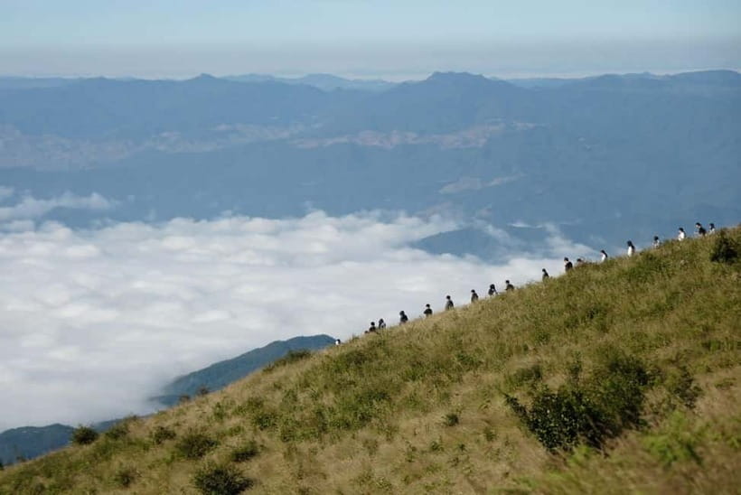Chiang Mai: Doi Inthanon Park and Kew Mae Pan 2-Hour Hike - Key Points Before You Book