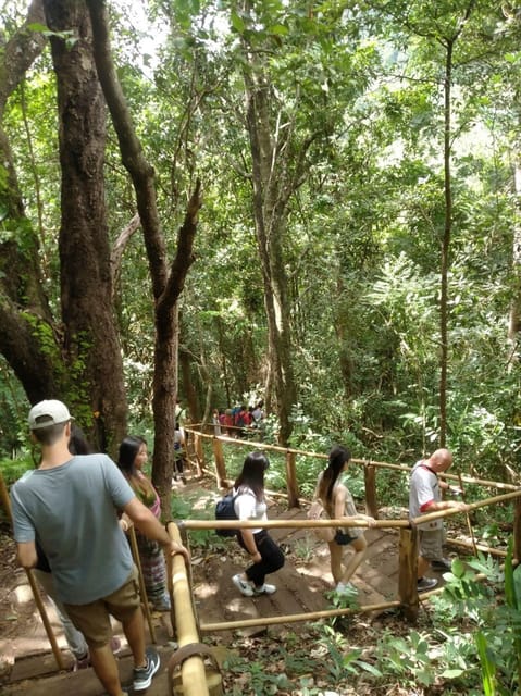 Chiang Mai: Doi Inthanon Park and Pha Dok Siew Hike Day Trip - Guides, Vans, and the Group Experience