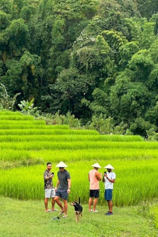 Chiang Mai: Doi Inthanon Park and Pha Dok Siew Trail Trek - Reaching Thailand’s highest summit