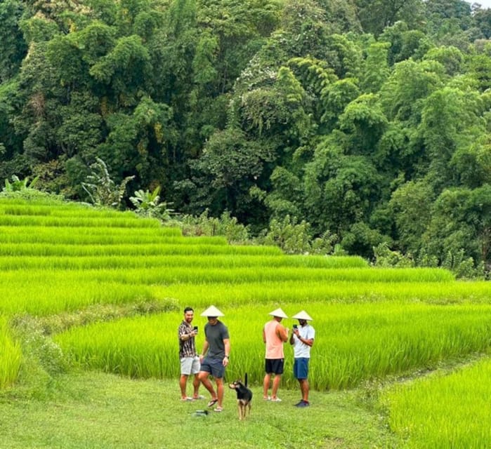 Chiang Mai: Doi Inthanon Park and Pha Dok Siew Trail Trek - Walking the Pha Dok Siew Nature Trail