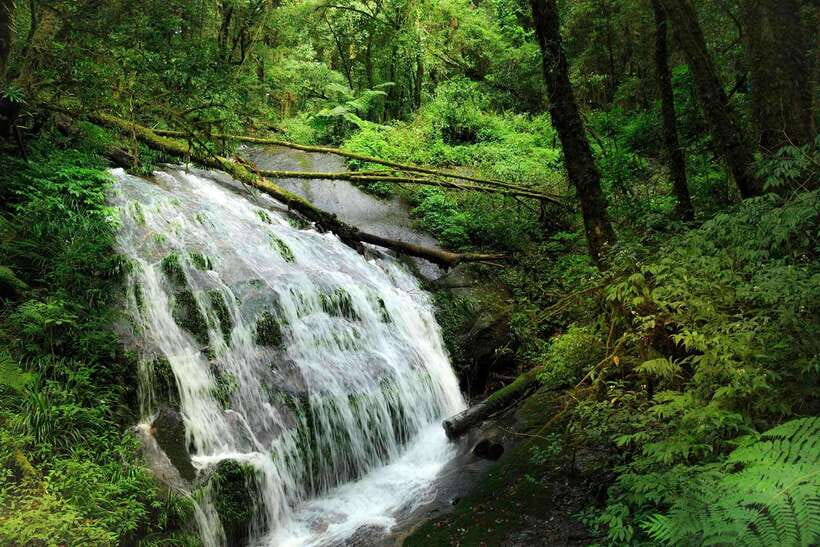 Chiang Mai: Doi Inthanon Park Tour & Kew Mae Pan Trail Hike - Who should book this Doi Inthanon day?