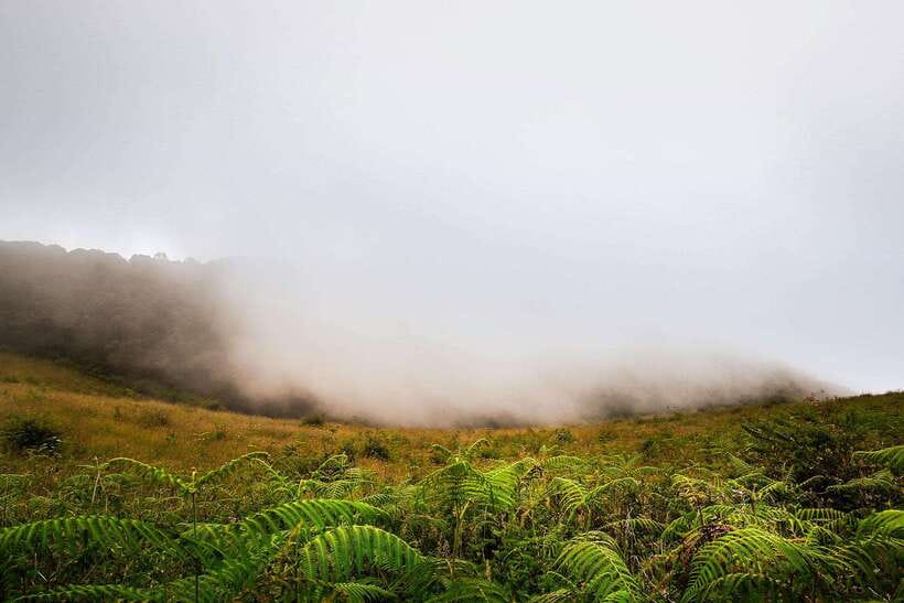 Chiang Mai: Doi Inthanon Park Tour & Kew Mae Pan Trail Hike - The highest point in Thailand
