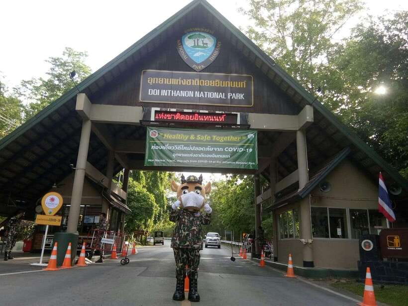 Chiang Mai: Doi Inthanon Park Tour & Kew Mae Pan Trail Hike - The Kew Mae Pan Nature Trail requires real effort