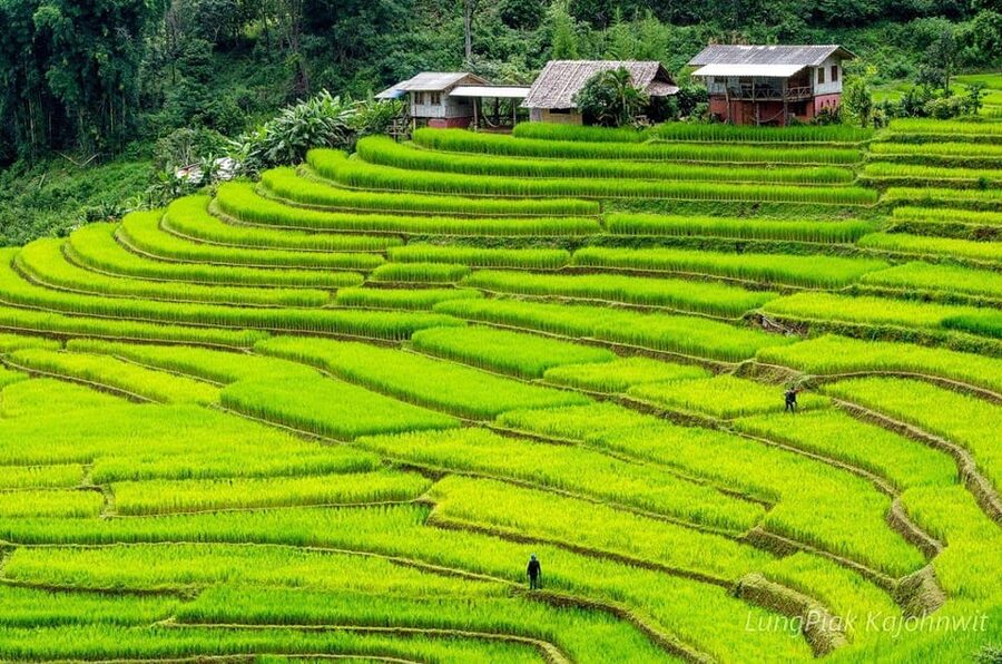 Chiang Mai Doi Inthanon Park Waterfall Pure Sightseeing Tour - Mae Klang Waterfall and Wachirathan Waterfall