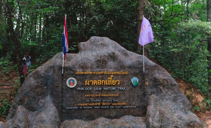 Chiang Mai: Doi Inthanon Trip with Pha Dok Siew Guided Trek - Why Doi Inthanon is different from Chiang Mai