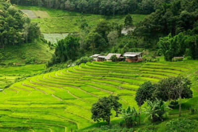 Doi Inthanon Trip with Pha Dok Siew Guided Trek
