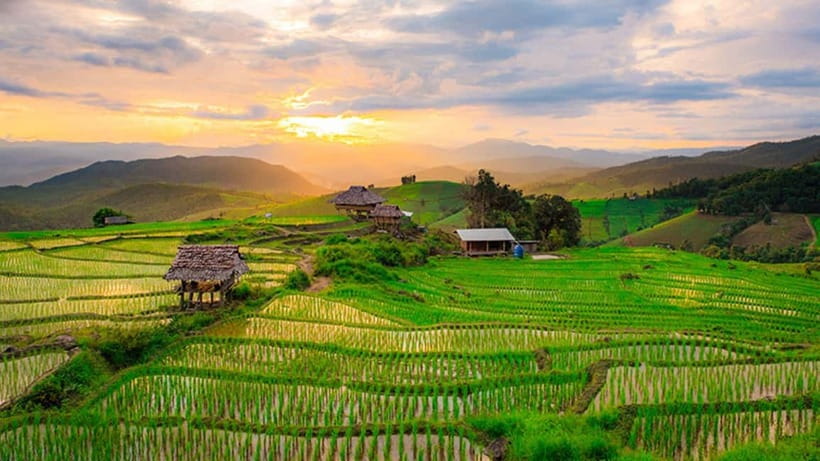 Chiang Mai: Doi Inthanon Trip with Pha Dok Siew Guided Trek - Thailand’s highest point is a modest stop