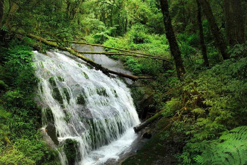 Chiang Mai: Doi Inthanon Trip with Pha Dok Siew Guided Trek - Pha Dok Siew: the heart of the day