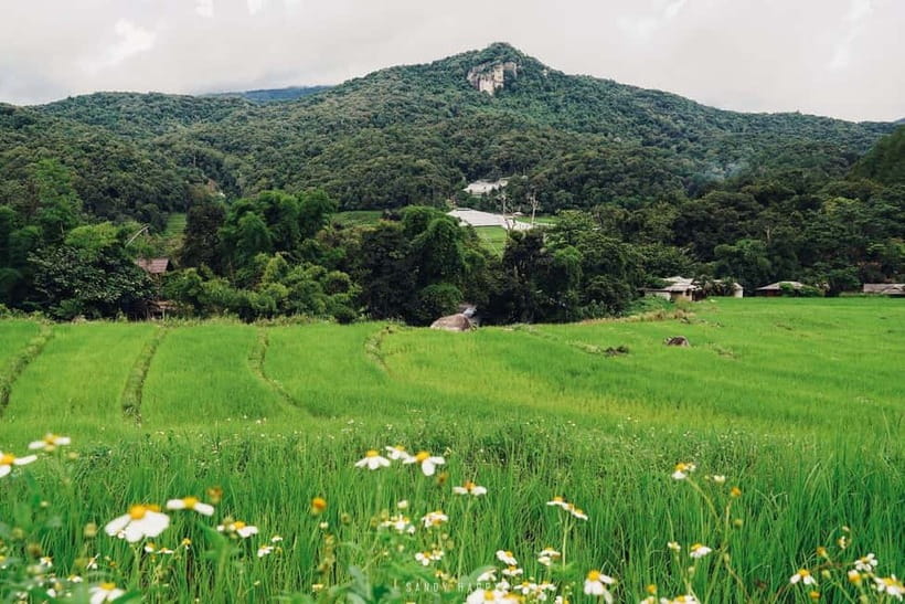 Chiang Mai: Doi Inthanon Trip with Pha Dok Siew Guided Trek - Wachirathan Waterfall closes the sightseeing loop