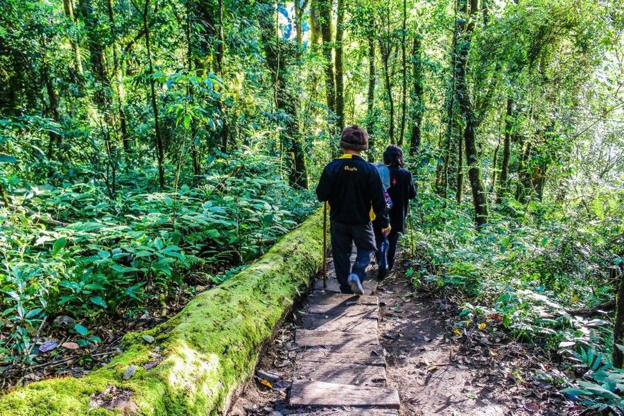 Chiang Mai: Doi Inthanon, Waterfalls, & Tribal Villages Tour - What the $36 price really covers