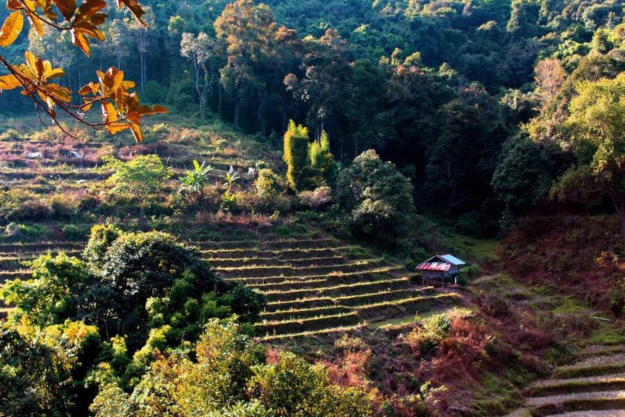 Chiang Mai: Doi Inthanon, Waterfalls, & Tribal Villages Tour - Wachirathan or Sirithan Waterfalls