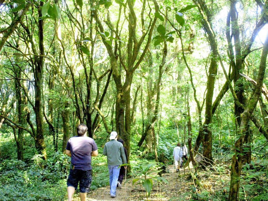 Chiang Mai: Doi Inthanon, Waterfalls, & Tribal Villages Tour - The Hmong market and Karen village