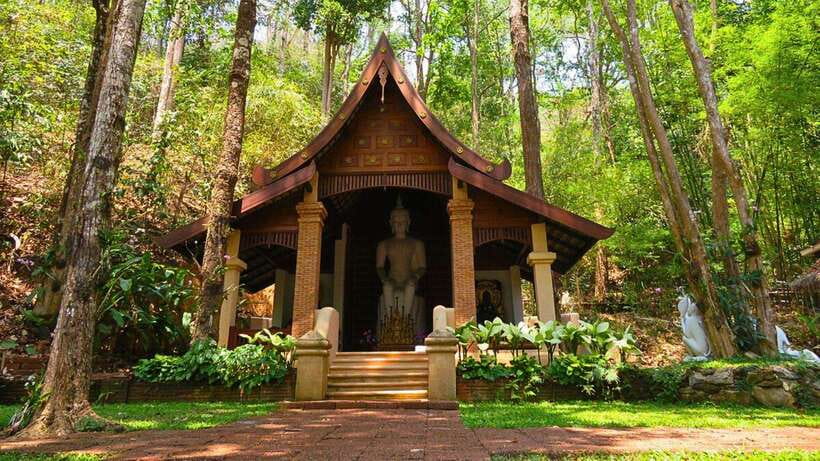 Chiang Mai: Doi Suthep and Wat Pha Lat Temple Evening Tour - Who will get the most from this tour