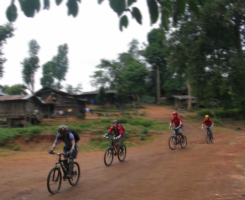 Chiang Mai: Doi Suthep National Park Leisure Hiking & Biking - The Hmong village and views across the Mae Ping valley