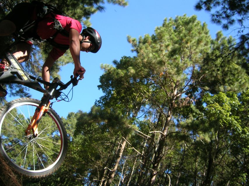 Chiang Mai: Doi Suthep National Park Leisure Hiking & Biking - The downhill bike ride: fun, but not a trail fantasy