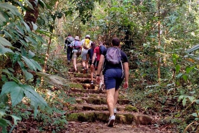 Chiang Mai: Doi Suthep Summit Trek – 7 Hour Pure Hiking Adventure - Lunch at Ban Khun Chang Khian