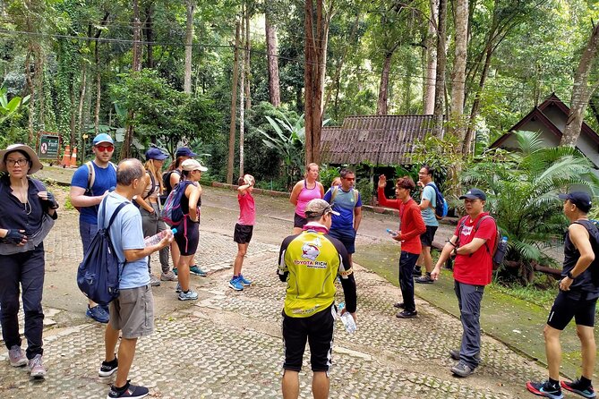 Chiang Mai: Doi Suthep Summit Trek – 7 Hour Pure Hiking Adventure - Wat Pha Lat, the quiet temple in the trees