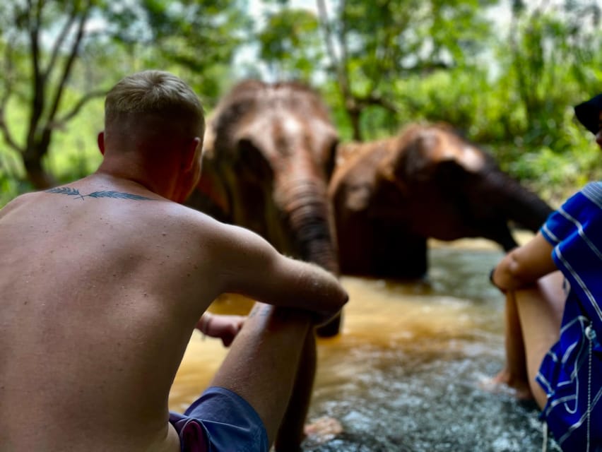 Chiang Mai: Elephant Dream Project Sanctuary - Half-Day - Key points to know before booking