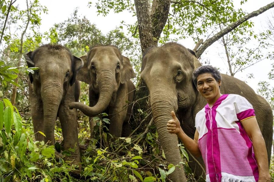 Chiang Mai: Elephant Dream Project Sanctuary - Half-Day - Walking through the jungle at elephant speed