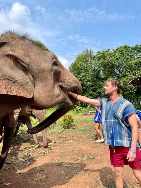 Chiang Mai: Elephant Dream Project Sanctuary - Half-Day - Meeting the elephants and the people behind the project