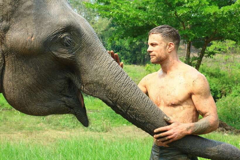 Chiang Mai: Elephant Feeding Experience - Preparing elephant food with the guide