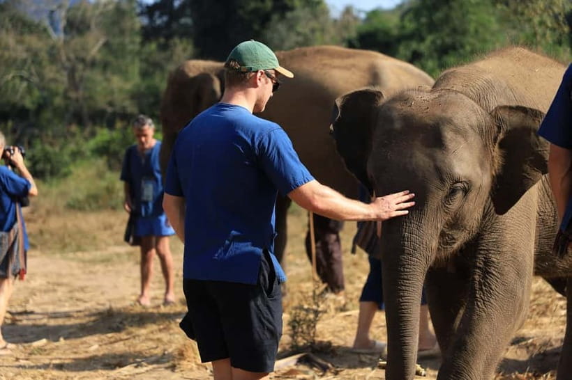 Chiang Mai: Elephant Sanctuary Bamboo Raft & Padthai Cooking - Key Points Before You Book